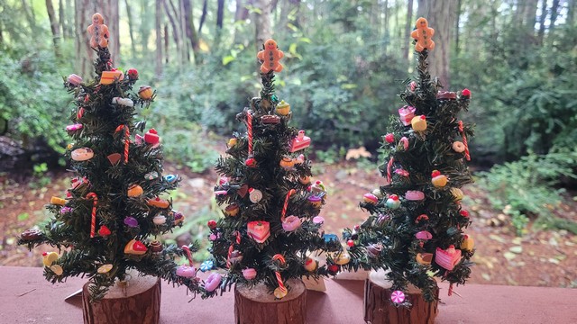 Sweet Trees for Christmas