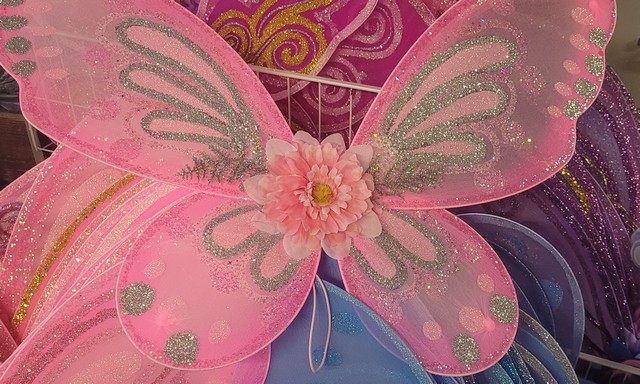 Colorful glittery Fairy Wings with flowers