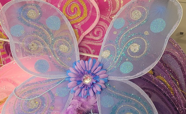 Colorful glittery Fairy Wings with flowers